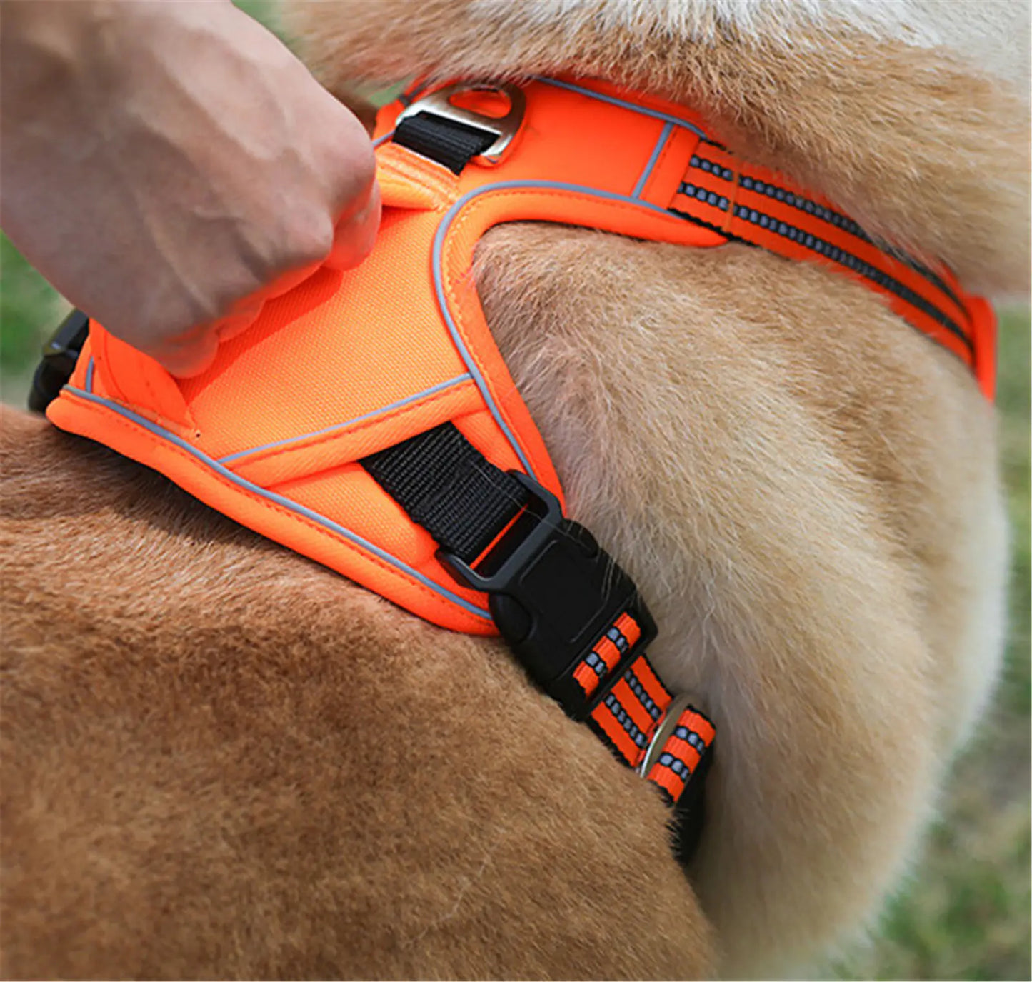 Durable Oxford Pet Harness – Adjustable, Waterproof, and Reflective Design for Dogs and Cats