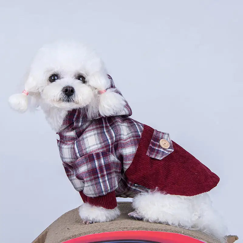 Teddy VIP Cashmere Dog Coat | Warm Hoodie for Small Dogs – Pawsitively Furry