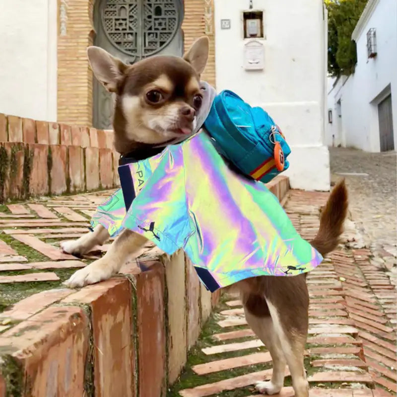 Reflective Dog Raincoat – Waterproof, Windproof & Stylish Outerwear for All Breeds (Sizes S–4XL, Silver)