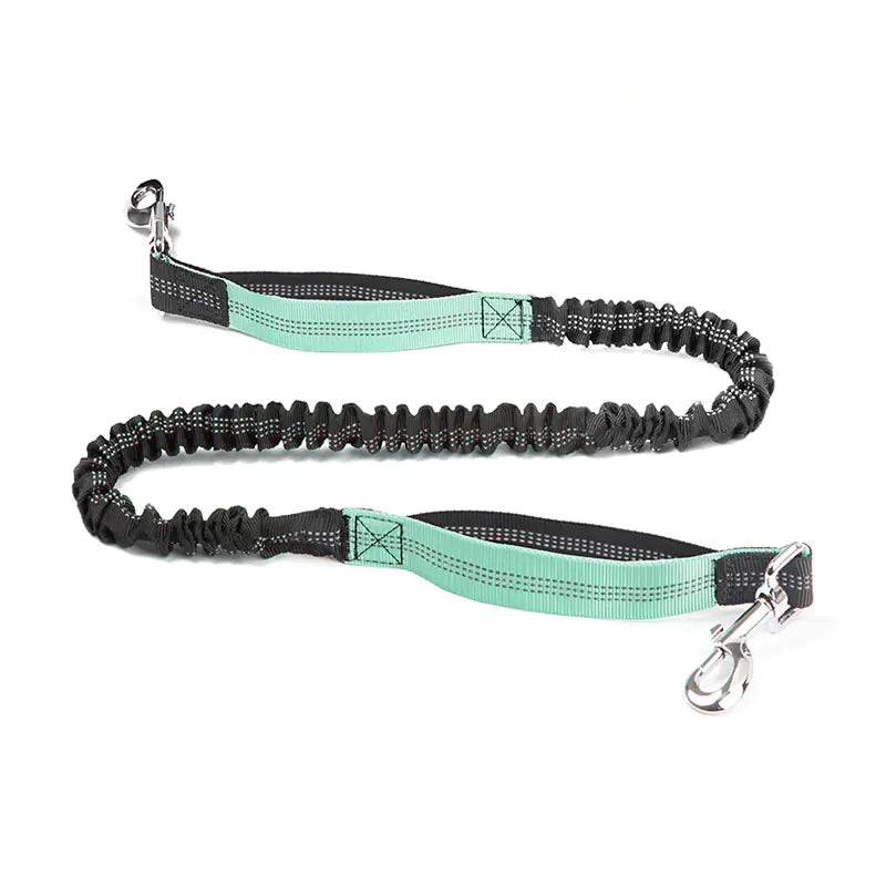Hands-Free Pet Running Waist Bag & Leash – Adjustable Multifunctional Jogging Belt for Dogs (120–183cm)