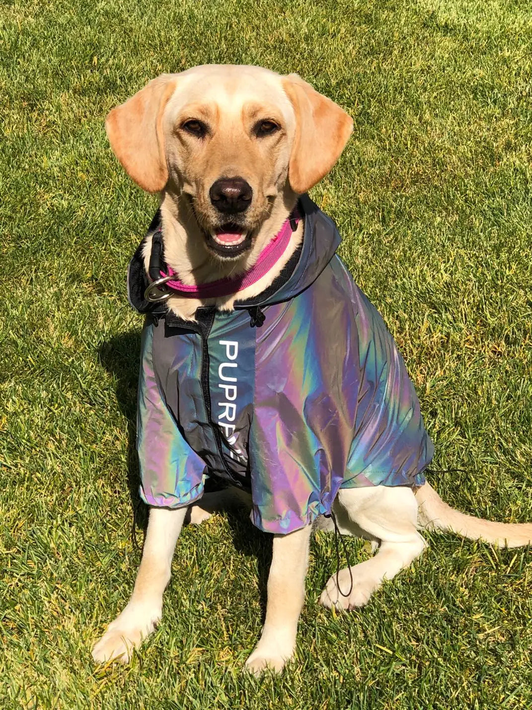 Reflective Dog Raincoat – Waterproof, Windproof & Stylish Outerwear for All Breeds (Sizes S–4XL, Silver)