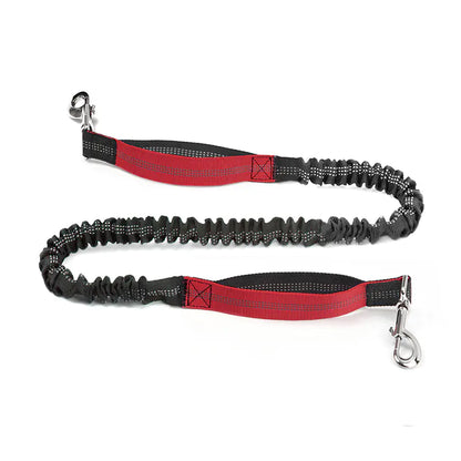 Hands-Free Pet Running Waist Bag &amp; Leash – Adjustable Multifunctional Jogging Belt for Dogs (120–183cm)