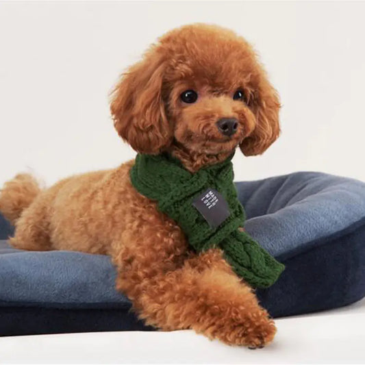 Woolen Pet Scarf with Bow Tie – Cozy Winter Accessory for Small Dogs, Puppies & Cats (Green or Red, S–M)