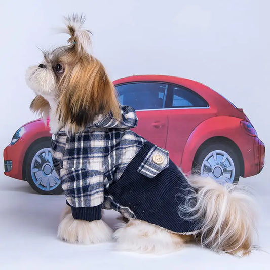 Teddy VIP Cashmere Dog Coat | Warm Hoodie for Small Dogs – Pawsitively Furry