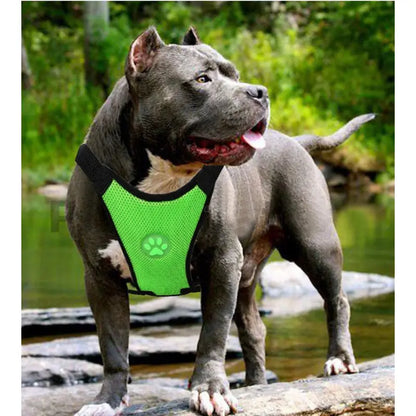Breathable Mesh Dog Car Safety Harness – Adjustable Chest Strap for Comfort and Protection (Multi-Use Design)