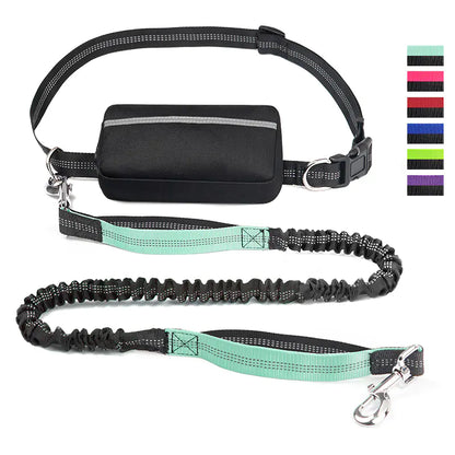 Hands-Free Pet Running Waist Bag &amp; Leash – Adjustable Multifunctional Jogging Belt for Dogs (120–183cm)